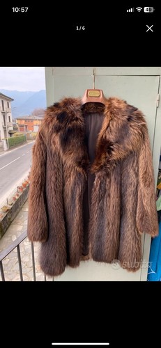 Pelliccia castoro - pelliccia, di
