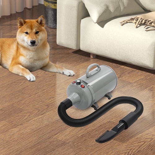 Asciugacapelli per cani - asciugacapelli,