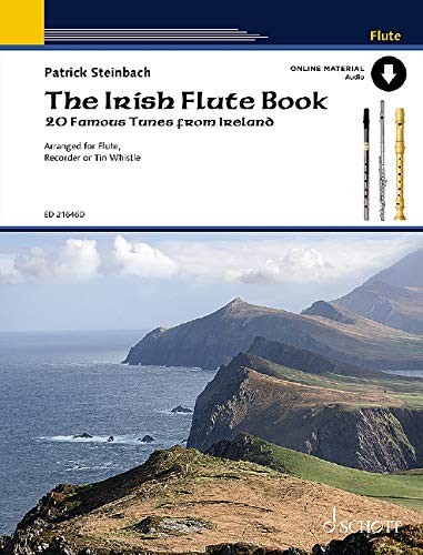 The irish flute - the,