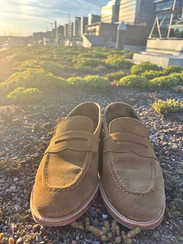 Meermin atcama camoscio e - camoscio,