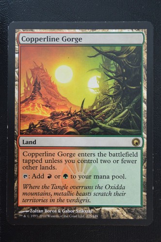 Magic the gathering mtg - the,