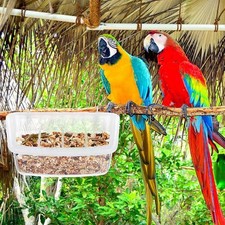 Mangiatoia per pappagalli
