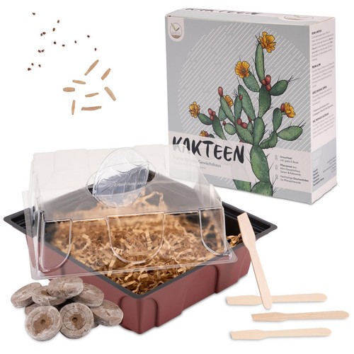 Kit coltivazione cactus - ,
