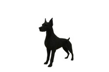 Scultura Doberman Fiero