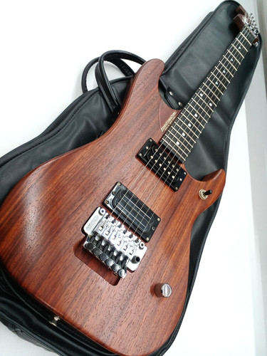 Chitarra modello washburn nuno - chitarra,