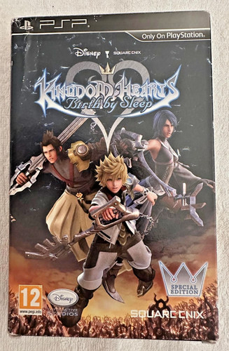 Kingdom hearts birth sleep - kingdom, by