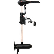 Rhino VX 55 V2 Motore