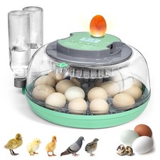 Incubators for hatching - for,