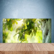 100x50 Paraschizzi in Vetro