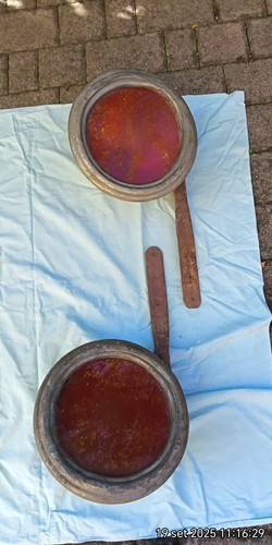 Coppia fanali posteriori