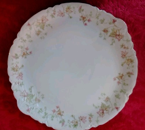 Porcellana müller self - porcellana,