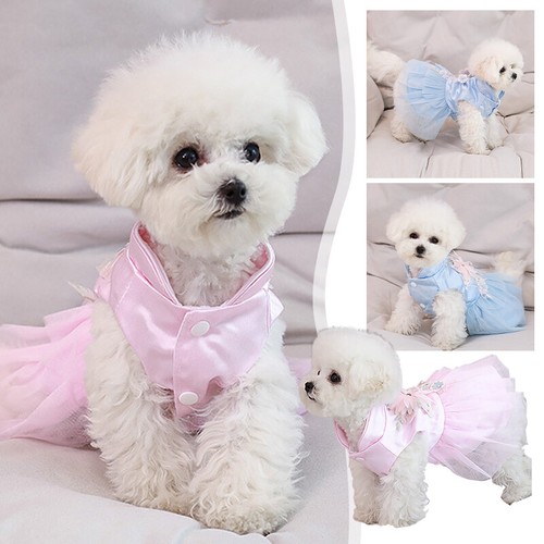 Abito sposa cane chihuahua - abito,