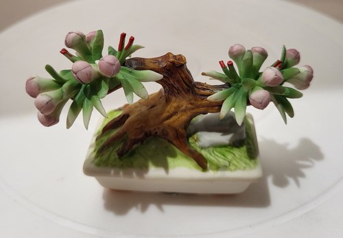 Bonsai capodimonte - bonsai, di