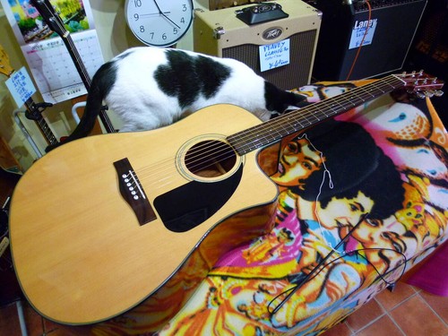 Fender 60ce nat - fender,