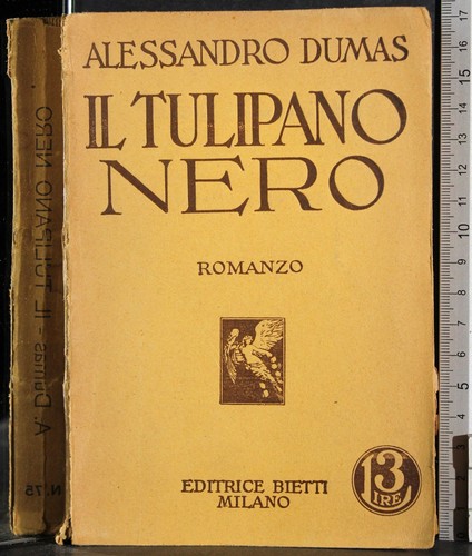 Tulipano nero alessandro - il,