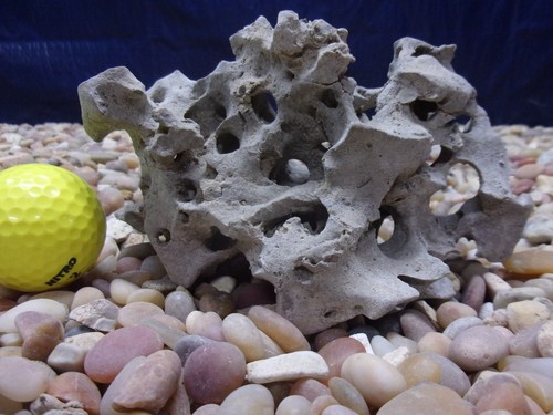 Texas holey rock - 02#,