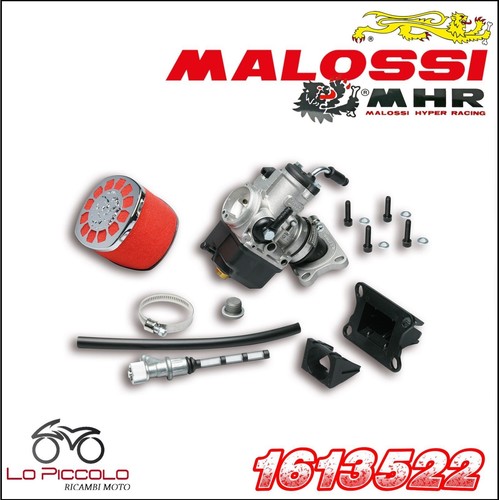 1613522 carburatore completo - 1613522,