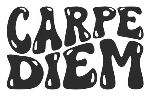Carpe diem scritta - scritta,, 1x