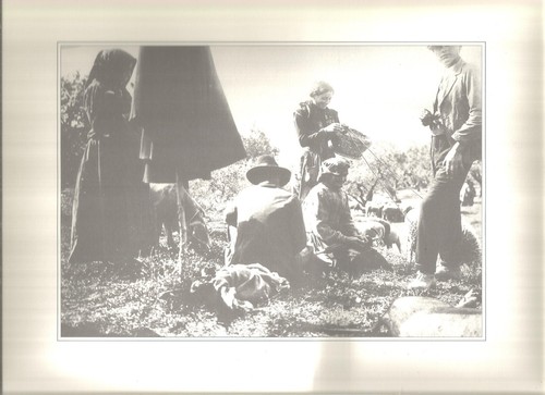 Stampa lastra fotografica - da,
