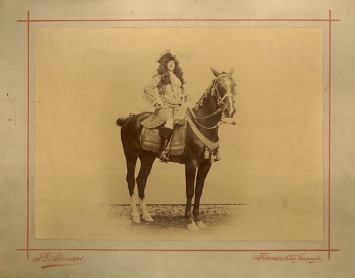 Personaggio cavallo in - personaggio, a