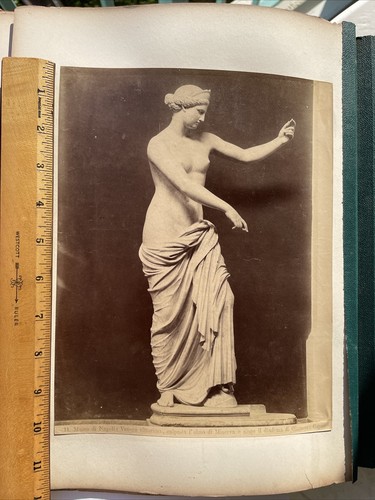 Albumina c1890 statua in - c1890,,