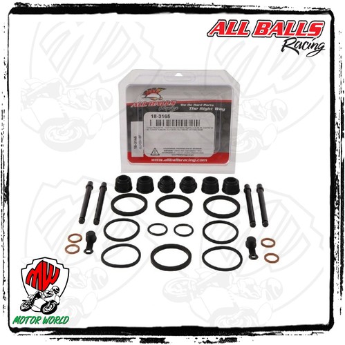 Kit revisione pinza freno - pinza,