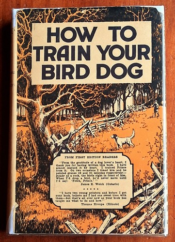 How train your bird - how,