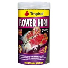 Tropical flower horn young - flower,