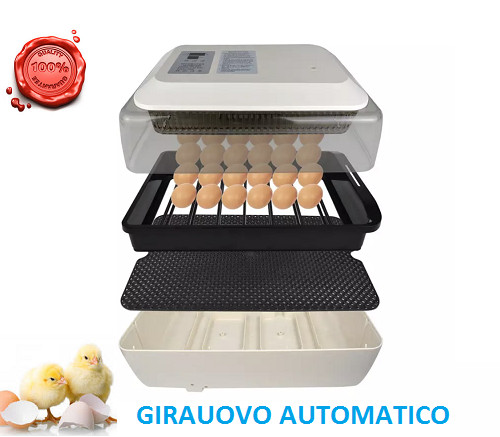 Incubatrice automatica - incubatrice,