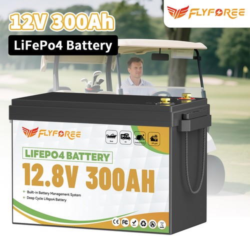 Batteria litio 300ah 12v - litio,