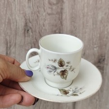 10 Tazzine da caffe Richard