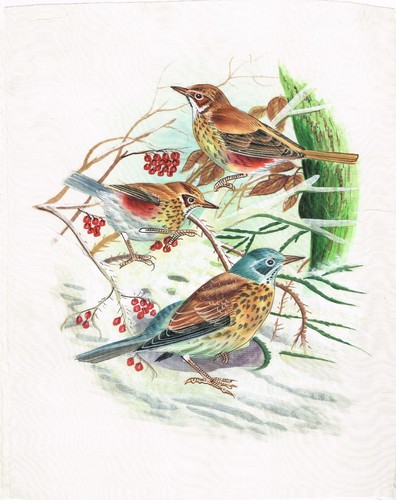 Miniatura uccelli dipinto - miniatura,