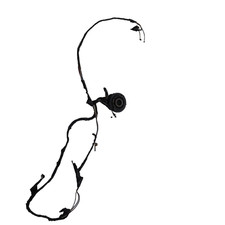 YAMAHA XP TMAX 500 T MAX 2002