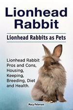 Lionhead Rabbit. Lionhead