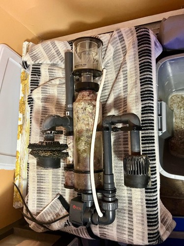 Skimmer proteico reef octopus - proteico,
