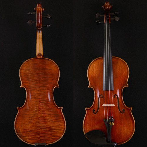 Splendido violino suono - splendido,
