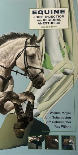Equine joint injection - joint,