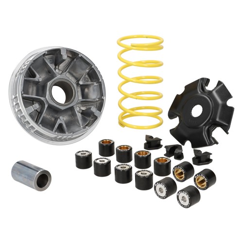 Variatore malossi multivar - variatore,