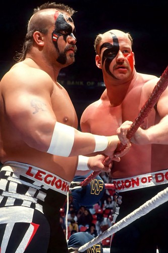 Wwe giant x36 poster - wwe,