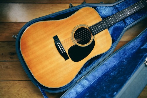 1981 tokai cat - tokai, eyes
