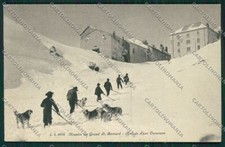 Aosta Gran San Bernardo Cane