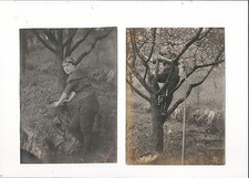 Ü281 Foto 2 X Formato Grande