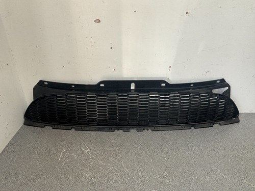 Griglia anteriore mini cooper - griglia,