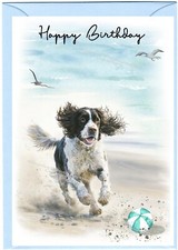 Biglietto Compleanno Springer
