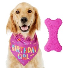 Set di feste di compleanno per