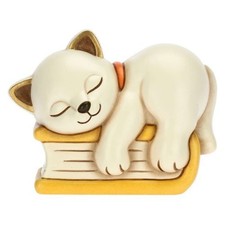 Thun Gatto Su Libro