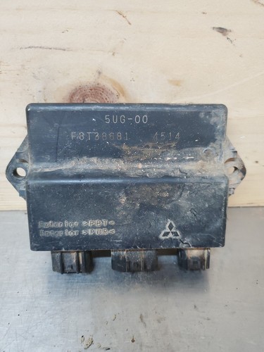 Yamaha rhino 660 computer - rhino,