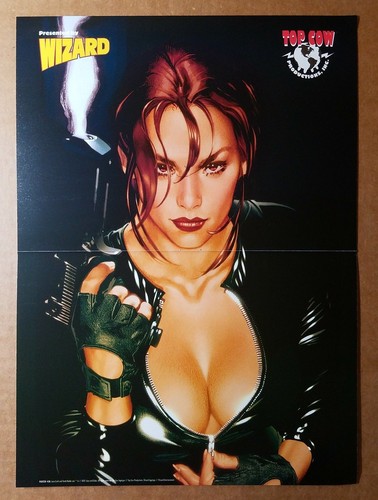 Poster fumetti lara croft tomb - croft,