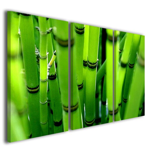 Stampe tela canvas - stampe,