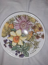 Piatto Ceramica Spigarelli Vintage